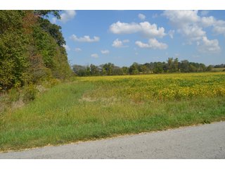 Property photo 63 - REAL ESTATE AUCTION - 604+/- ACRES IN 14 TRACTS IN MERCER CO., OHIO